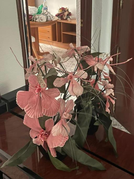 Gran Piso 3 Habitaciones Sagunto Dış mekan fotoğraf